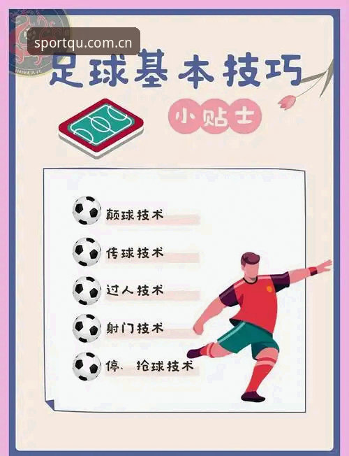 趣体育用户体验全面解析：从新手到达人的完整指南